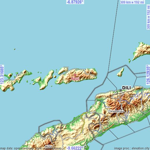 Topographic map of Apui