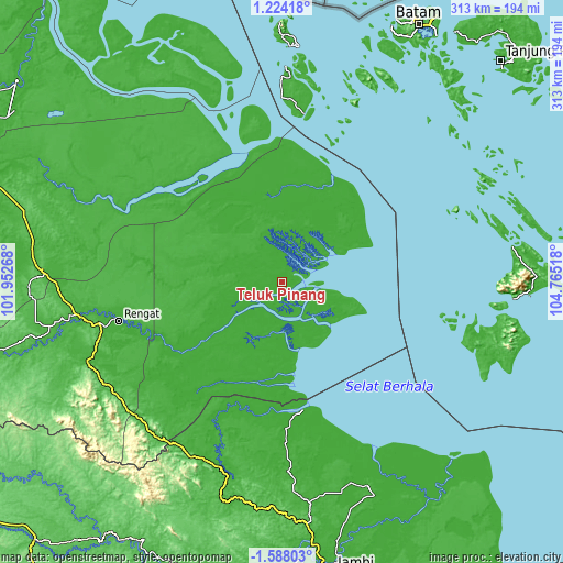 Topographic map of Teluk Pinang