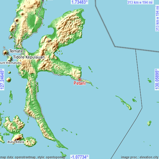 Topographic map of Petani