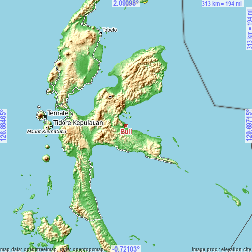 Topographic map of Buli