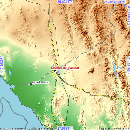 Topographic map of Molino de Camou