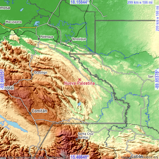 Topographic map of Nueva Palestina