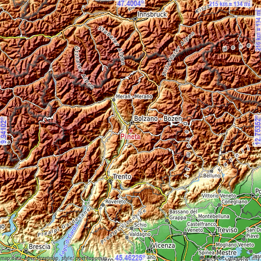 Topographic map of Pineta